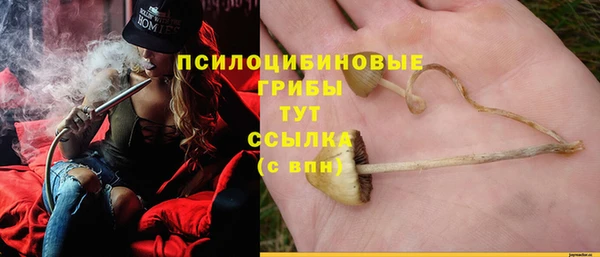соль ск Горнозаводск