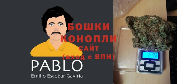 соль ск Горнозаводск