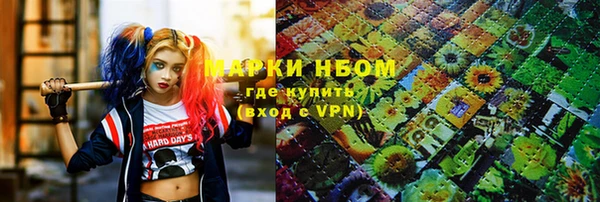 соль ск Горнозаводск