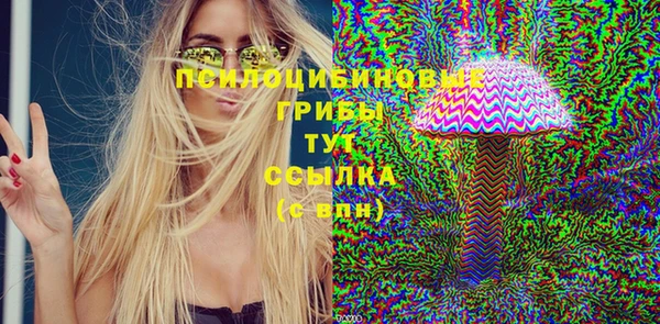 соль ск Горнозаводск