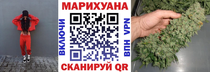 Конопля гибрид  Энгельс 